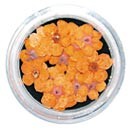 Dry Flowers - Orange 20pcs
